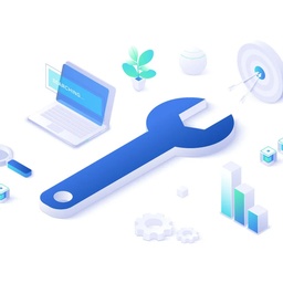 Pak IT Services