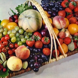 Fresh Fruits