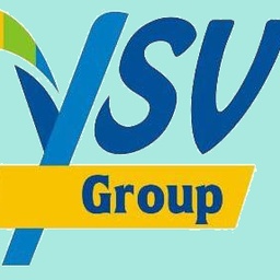 YSV Group