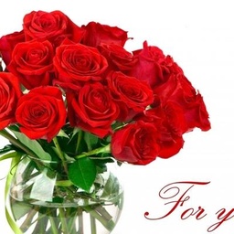 Red Rose