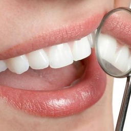 Dental Executive Surgery II