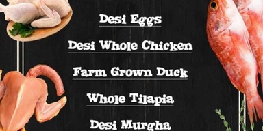 Desi White Meat
