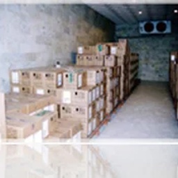 GENERAL DISTRIBUTORS