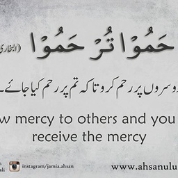 On,line QURAN Mjeed