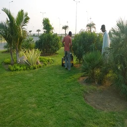 NIZAMUDDIN FARIDULHAQ