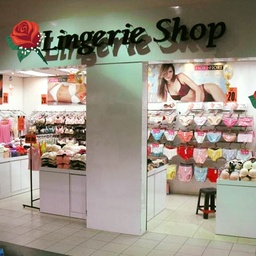 Lingerie Fashion