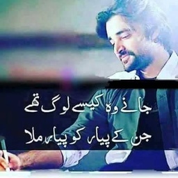 Peotry importent for life