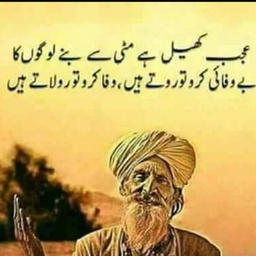 Hikmat E Shifah