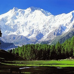 Northern Beauty Of Pakistan
