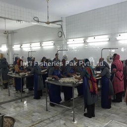 International Fisheries Pak (Pvt) Ltd.