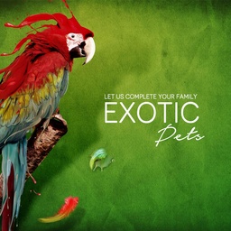 Exotic Pets