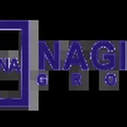 Nagina Cotton Mills Ltd.