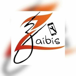 Zaibis Electronics