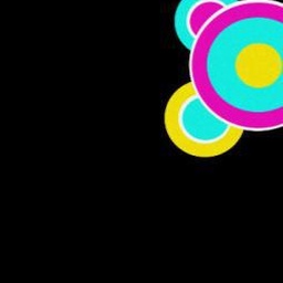 Contempo