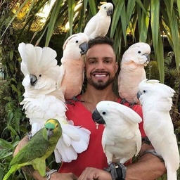 JS Birds & Pets on Sale