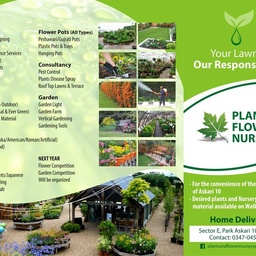 Plants & Flowers Nursery