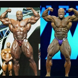 Chain Of Bali Gym
