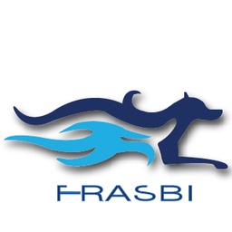 Frasbi