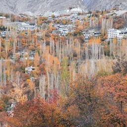 Hunza Explorers Treks & Tours