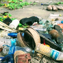 Environmental Management Consultants