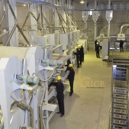 Rice International Pvt. Ltd