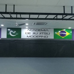 Rogue Fitness and Martial Arts Academy