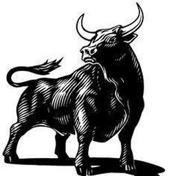 Premium Buffalo Farm