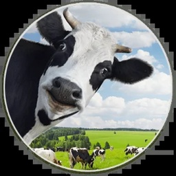 PAKISTAN MILKFOOD MANUFACTURERS LTD.