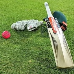 Cricket lovers
