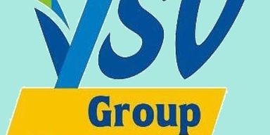 YSV Group
