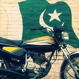 Shahzaib Stickering