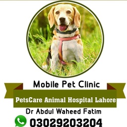 PetsCare Animal Hospital Lahore - Home Service" www.callvet.pk