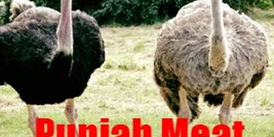 Punjab Meat