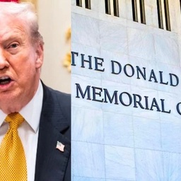 Daily News