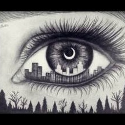 Sketches for Life