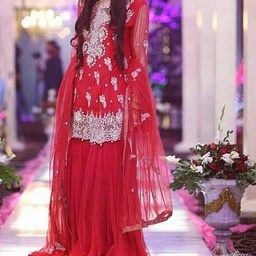 Aleena Sameer