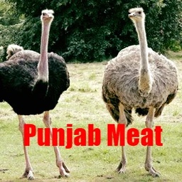 Punjab Meat